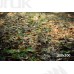 Tło fotograficzne Szkoła Przedszkole 3129